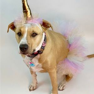 Dog Unicorn Costume